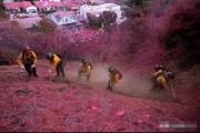 开云体育app-关于法兰克福失利，保级形势愈发严峻的信息
