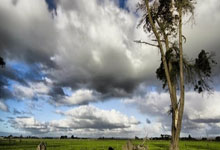 开云体育中国-哈斯车队完胜雷诺车队，周冠宇惊艳四座