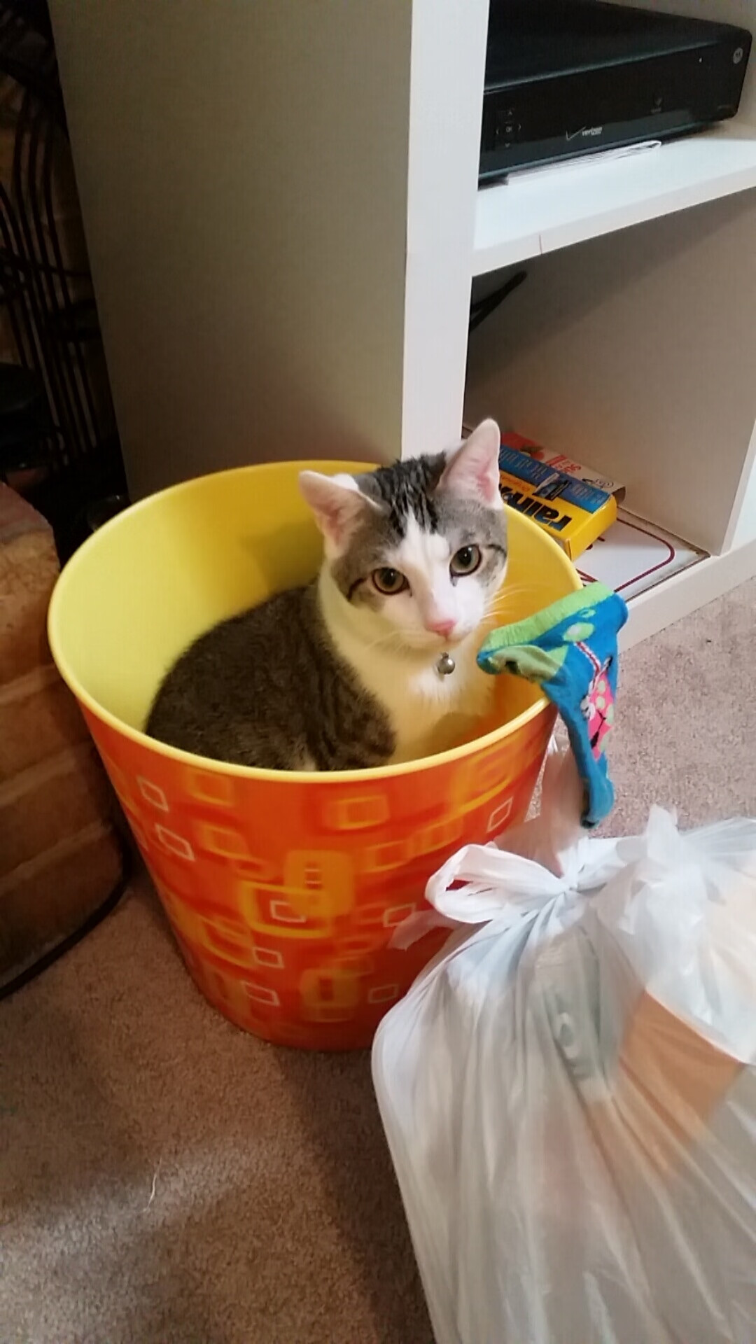 欧冠淘汰赛之夜,当库里成为篮球场上的绝杀艺术家