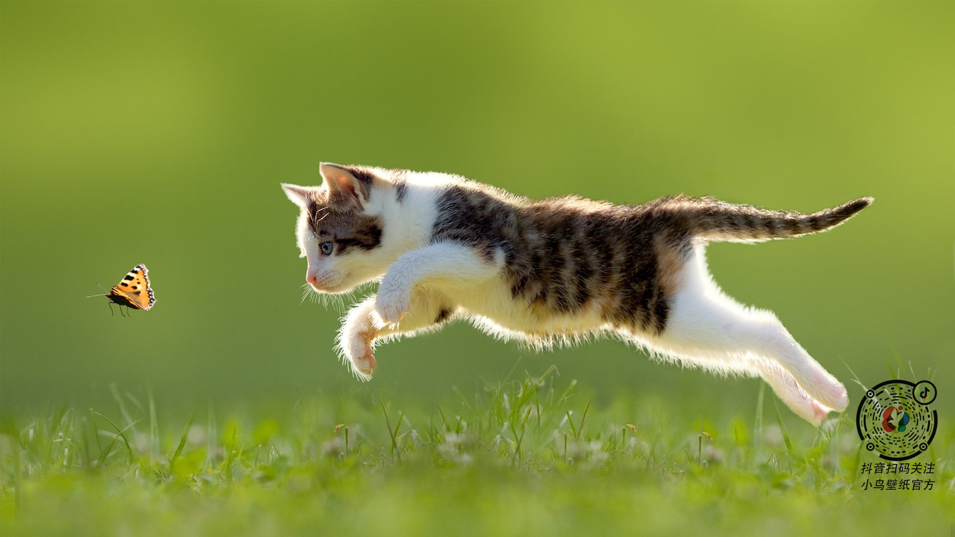 绝杀英雄！乔治末节18分导演逆转，吉林险胜深圳锁定季后赛关键战