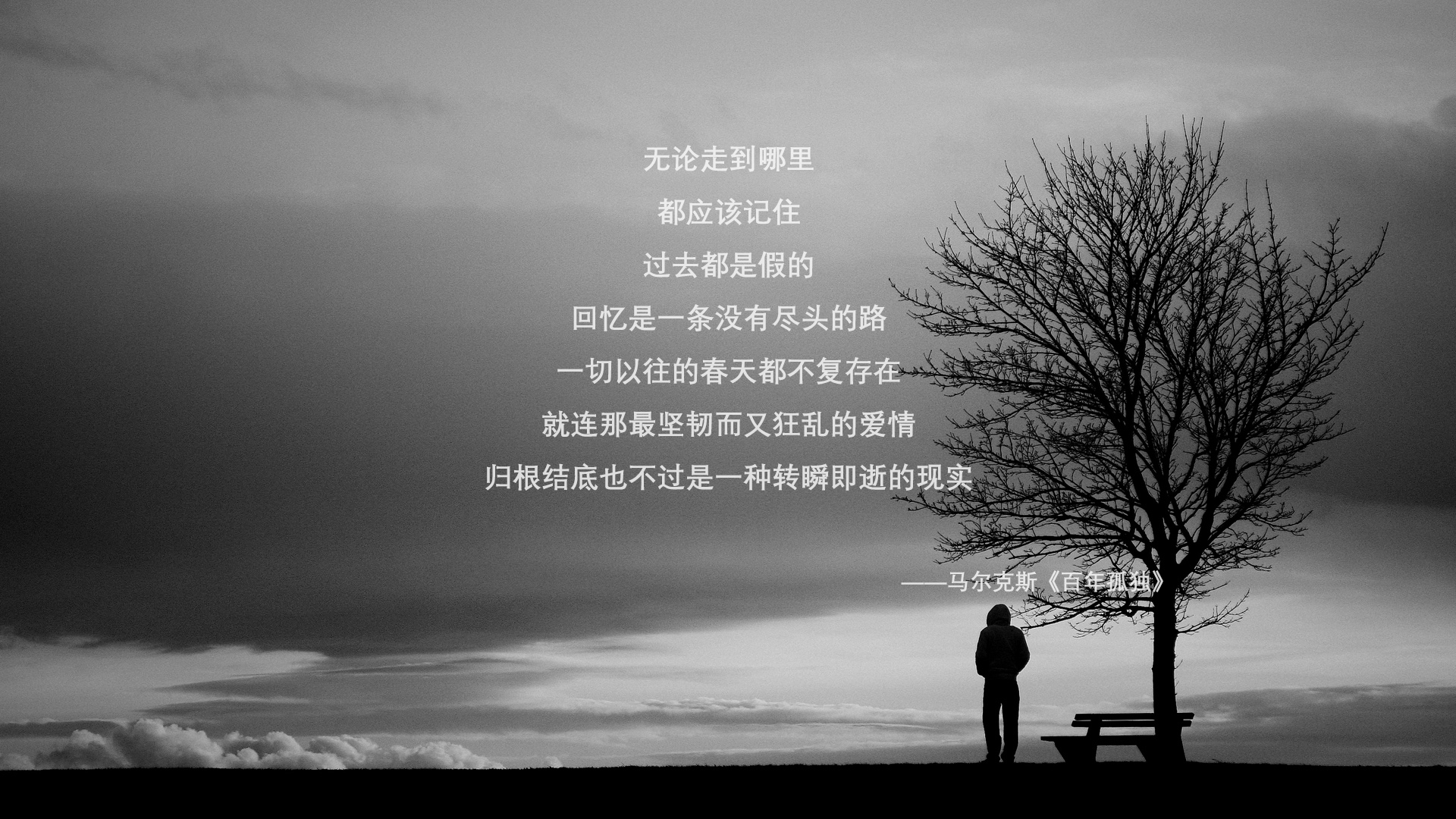 从莱比锡到世界之巅,阿克—塞内加尔晋级的现代门神密码