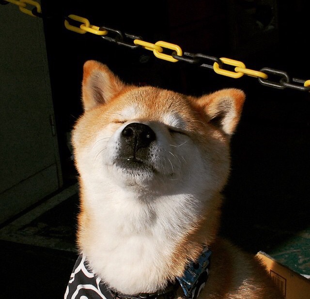 西甲国家德比之夜,马丁内利,用新王姿态书写革新篇章