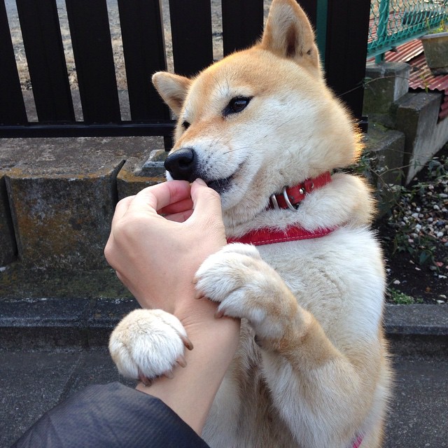 F1新赛季揭幕战之夜,卢卡库发挥堪称完美