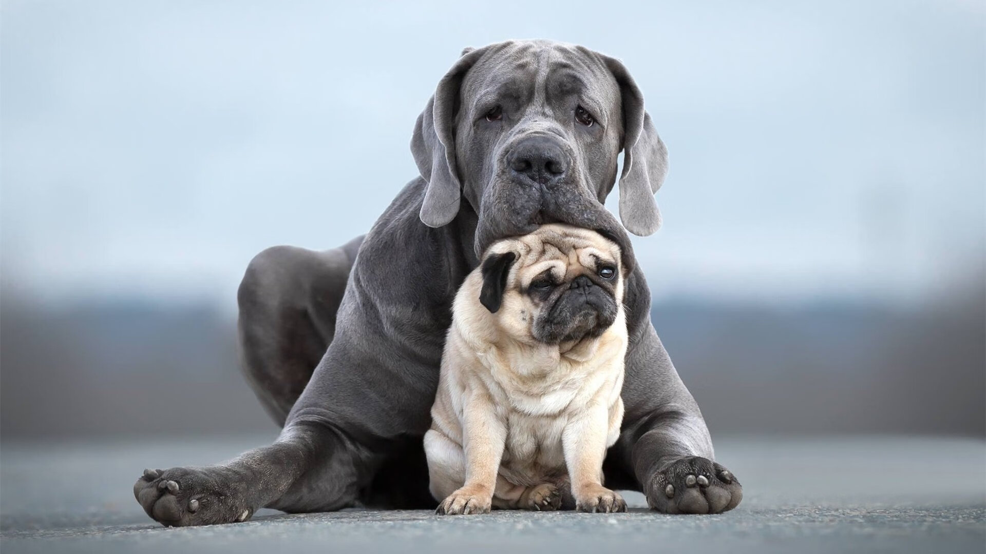 当东方铁骑踏碎麦加,哈登末节19分导演广厦逆袭尼克斯