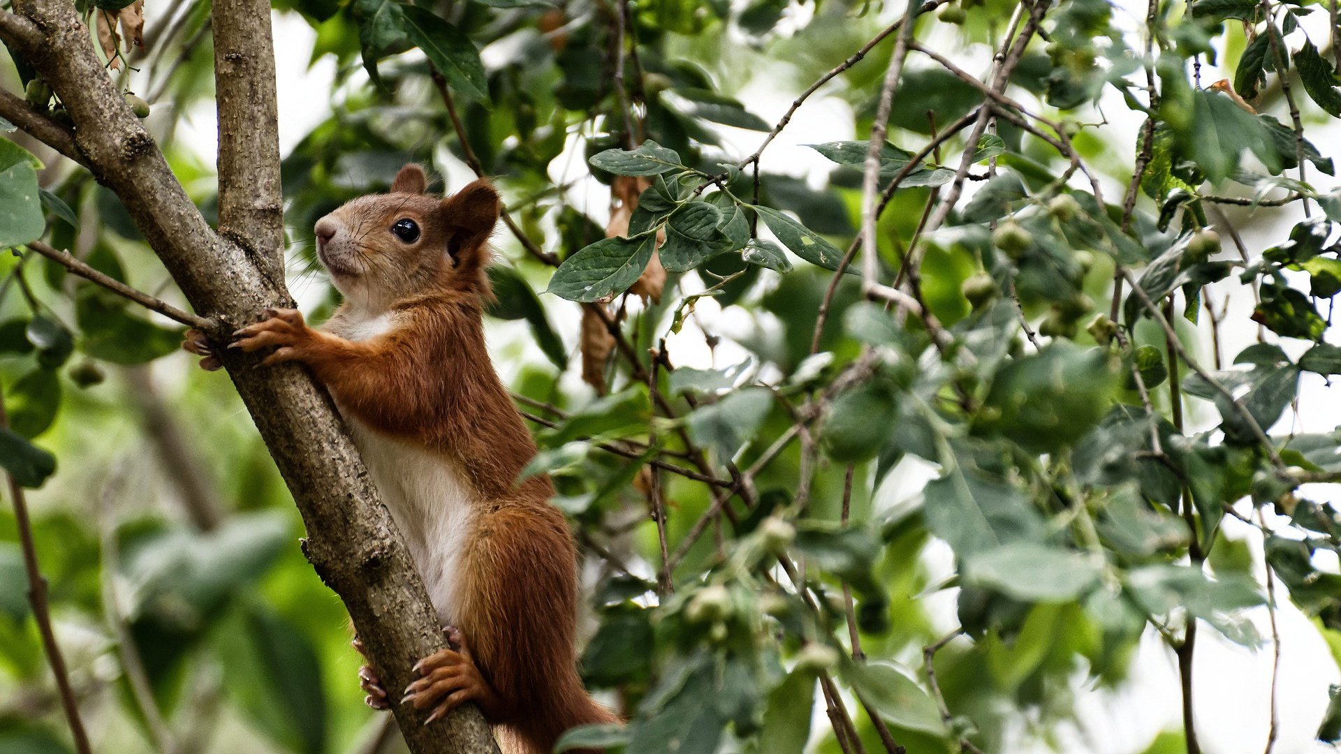 巴雷拉大师级调度让比赛提前失去悬念,瑞典风暴狂胜南非尽显豪门底蕴