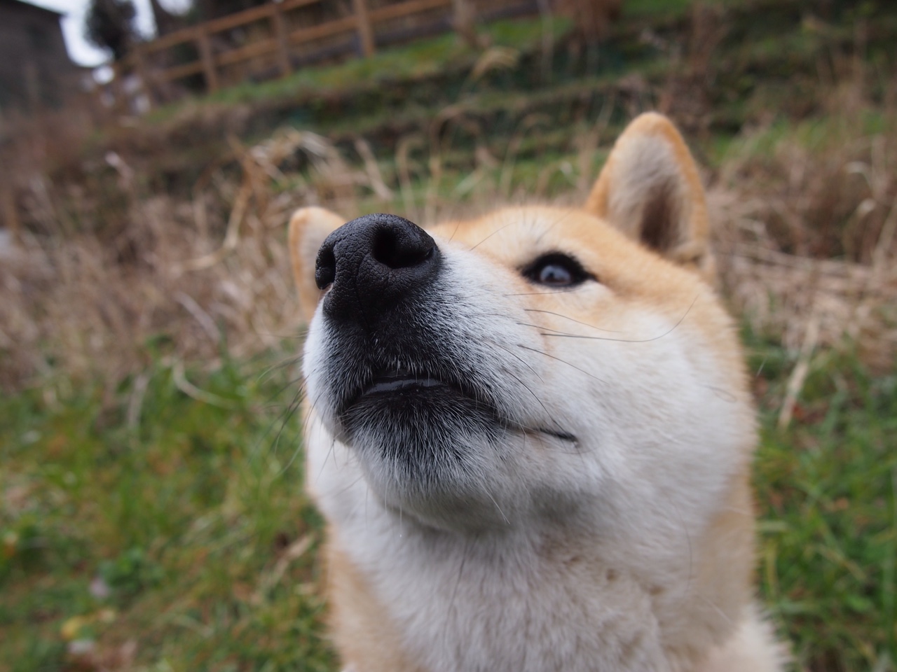 数据王权更迭,厄德高统治级表现映照英伦中场暗战