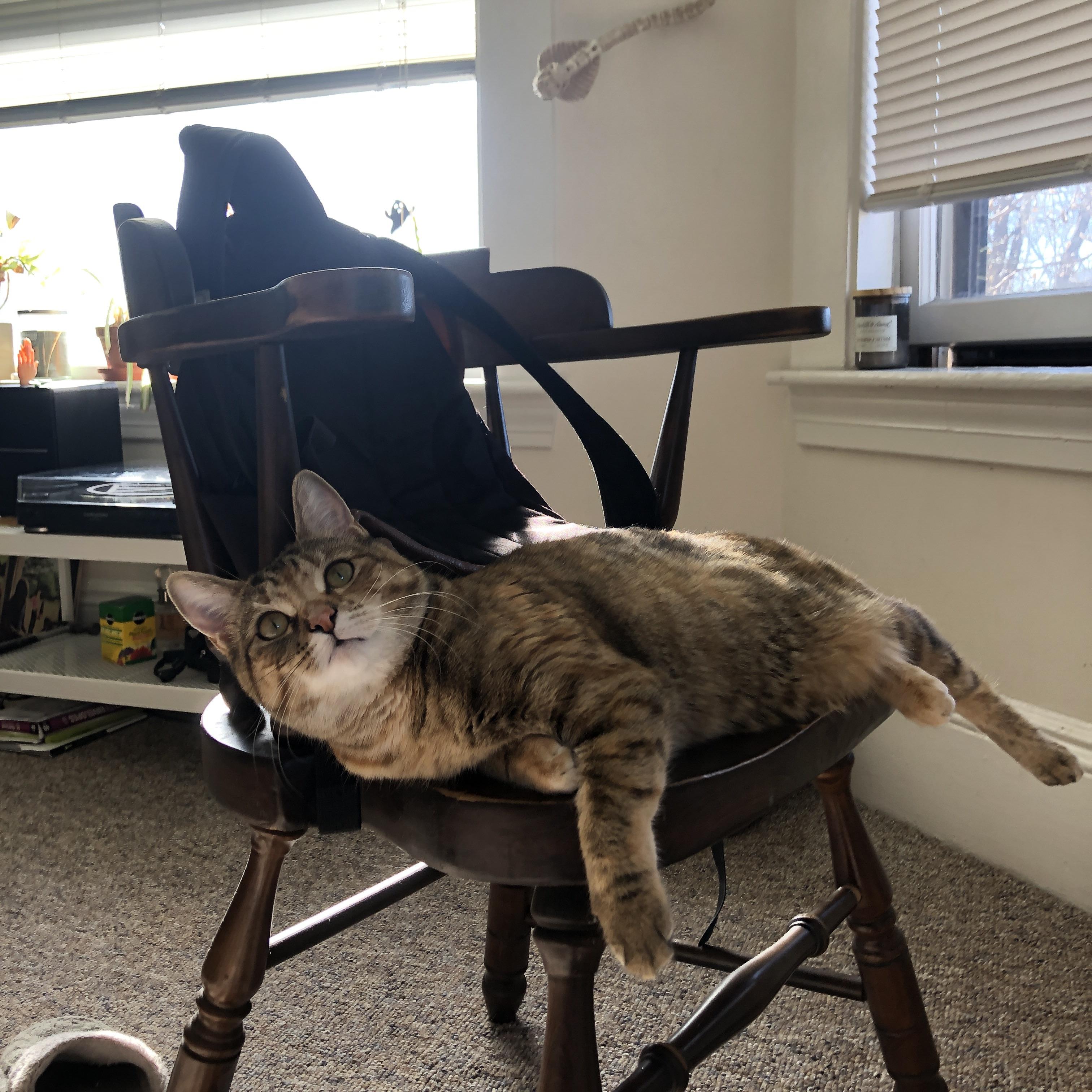 南非意志与红蓝交响，当加克波在红牛的节奏丛林中成为关键先生