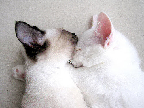 逆转与接管，当命运在90分钟被重新书写