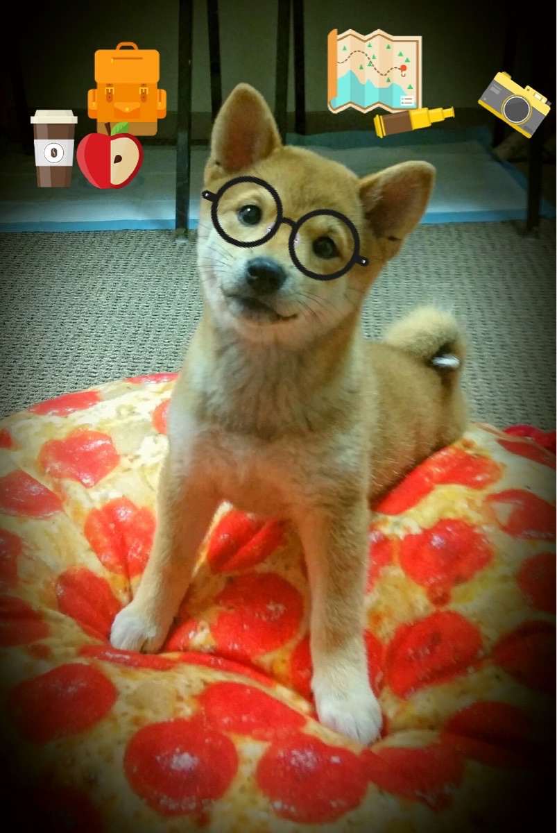 西决生死夜，霍勒迪一剑封喉，生涯巅峰之作撕裂天际