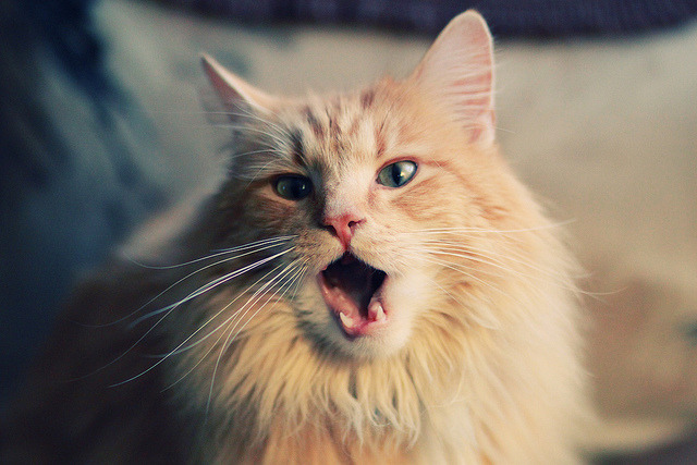 爱德华兹满分狂飙诠释天赋上限,太阳铁幕防守重塑西部格局