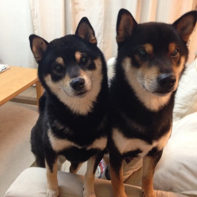 钢铁意志，拉亚东决关键战的王者时刻