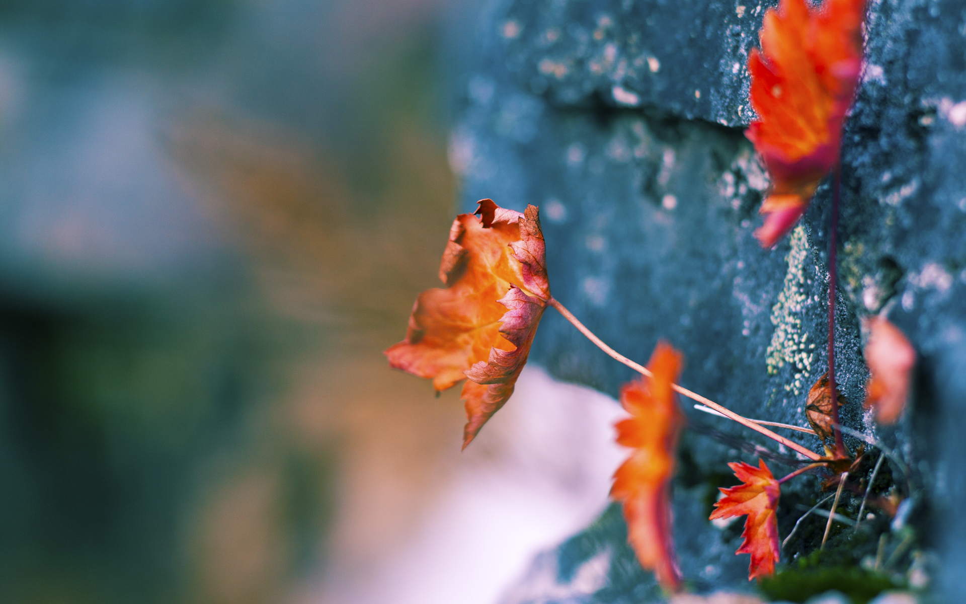 巨星时刻，恩比德连斩关键分，雄鹿鏖战力克掘金